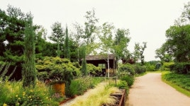 [일상스케치①] 순천만 국가정원 형형색색 꽃 향연