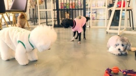 [전북오늘] 정읍시, 동물 의약품 클러스터 구축…진안군, 2021 사랑의 김장 나누기 진행