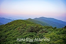 노고단에서 천왕봉까지 지리산을 걷다 [산전주전]