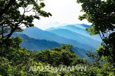 노고단에서 천왕봉까지 지리산을 걷다 [산전주전]