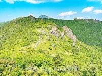 노고단에서 천왕봉까지 지리산을 걷다 [산전주전]