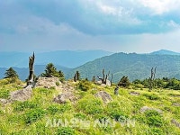 노고단에서 천왕봉까지 지리산을 걷다 [산전주전]