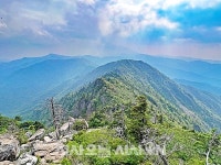 노고단에서 천왕봉까지 지리산을 걷다 [산전주전]