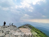 노고단에서 천왕봉까지 지리산을 걷다 [산전주전]