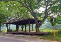 시골 생활 단상 [일상스케치㊷]