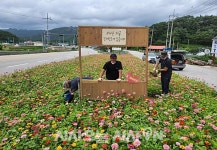 부안군, 꽃백일홍 물결 포토존 설치…전북은행, 네이버 스마트플레이스 맞춤 대출 선봬 [전북오늘]