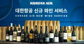 대한항공, 새 기내 서비스 와인 50종 발표…에어서울, 크레마S·닌텐도 대여 서비스 [항공오늘]