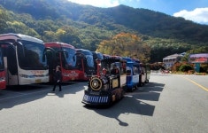 순창군 강천산군립공원, 무궤도열차 2대 시범운행…부안군, 아동뮤지컬 판타스틱 앨리스 25일 공연 [전북오늘]