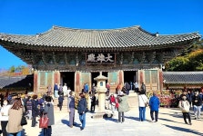 만추의 경주 불국사 [일상스케치(59)]