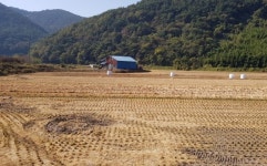 공동화되어가는 시골 마을 [일상스케치(100)]