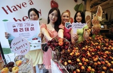 오늘체리OneulCherry | 맛있는 체리 맛보세요! [포토오늘]