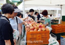 강남구, 추석맞이 직거래장터 개설 [포토오늘]