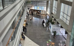 [단독] 용산구청 국제결혼중개업 부실감독 논란…여가부도 아연실색