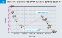 향정신성 비만약에서 비향정신성 비만약으로  전환을 위한 Liraglutide의 사용