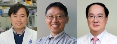 악성 뇌종양 예후 예측 바이오마커 발견 화제