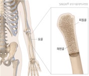 손아귀 힘 악력 강할수록 손목뼈 골밀도 높아