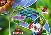 ‘플라스틱 나뭇잎’으로 태양광 화학공장 만든다