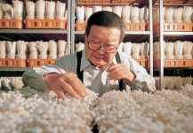 구자경 LG 명예회장 별세…향년 94세