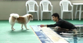 나 혼자 산다 성훈, 반려견 양희와 함께한 수영장 데이트