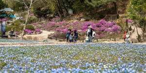 금천구 코로나19 확진자, 6일 오후 포천 평강랜드 방문