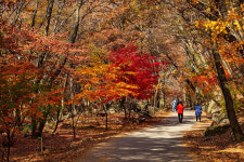 11월 늦가을, 경기지역 단풍명소는?…경기관광공사 4選