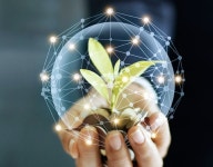 (재)홍천메디칼허브연구소 소장 공개 모집