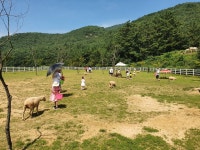 남해군, 농축산부 지정 방목생태 축산농장 3곳으로 늘어