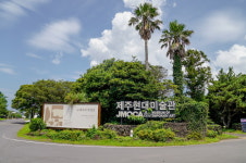 제주현대미술관 空의 매혹 기획전시 기관상 수상