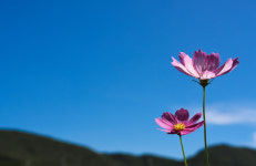 벼는 고개숙이고 바람은 선선…성큼 다가온 가을