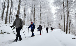설국썰매 즐기는 운탄고도 눈꽃 트레킹