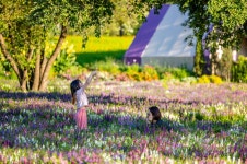 [주요 일정] 2023 순천만국제정원박람회 (7일, 토)