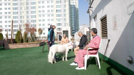 렛츠런파크 부산경남, 말산업 특성 살린 사회공헌 활발…홀스테라피 인기