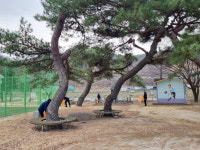 [함양군 소식] 병곡면 체육공원 환경정비-치매진단 어르신에 실비 지원