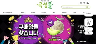 곡성군, 4월 곡성몰 구매왕 선정해 곡성멜론 지급한다