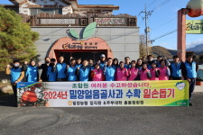 밀양농협 임직원·주부대학 회원, 7일간 얼음골 사과농장 일손돕기