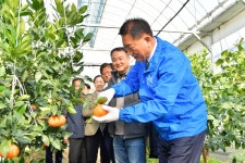 [포토] 김한종 전남 장성군수, 올해 설 선물은 장성산 레드향 추천