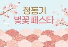 진주시, 4월5일 청동기문화박물관서 벚꽃 페스타 개막