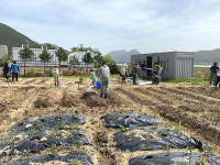 양산시 원동면 화제마을에 주말체험농장 개장