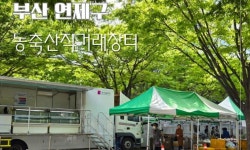 부산시청 시민광장서 12일 농축수산물 특별 할인전