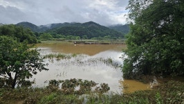 물폭탄에 합천군 정양늪생태공원 초토화…생태계 보존 최대위기