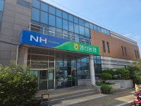 창녕군 영산농협, 마늘 대금 미수금 270억 못 받아 파산 위기