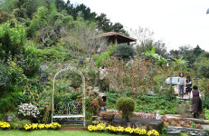 전남 제31호 민간정원 담양 달빛여행정원 정식 개방