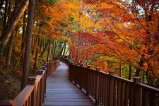 진주시 무장애 진양호 노을길서 24일 준공기념 걷기대회