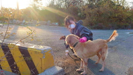 렛츠런파크 부산경남, 동물보호센터서 유기동물 돌봄봉사