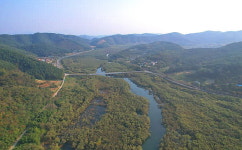 사천시, 남강댐 저수구역 버들류 벌목사업 본격화