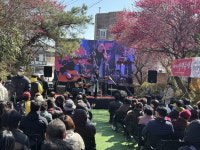 전국서 가장 먼저 피는 홍매화…순천 매곡동 탐매축제 1만 명 발길