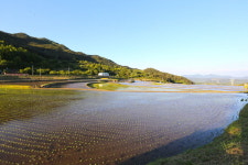산청군, 20일 신등면 척지마을서 전통 모내기 재현행사