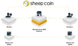 이코컴퍼니서교동 | B2B플랫폼 멤버쉽컴퍼니, 리버스 ICO 추진
