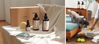 싱가포르 ‘썸머인터네셔널’, 국내 펫케어 기업 ‘도그러브코코’ 인수