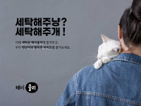 세탁소 플랫폼 ‘리화이트’, 반려가족 전문 세탁 서비스 ‘헤이울리’ 론칭